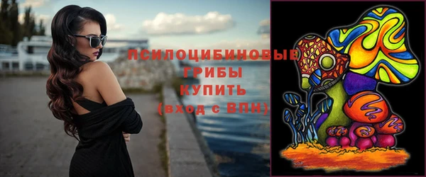 хмурый Михайловка