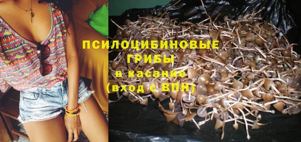 соль ск Михайлов