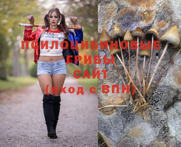 соль ск Михайлов