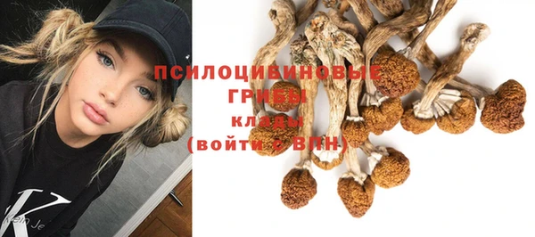 хмурый Михайловка