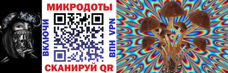 Галлюциногенные грибы Psilocybine cubensis Купить где Лянтор